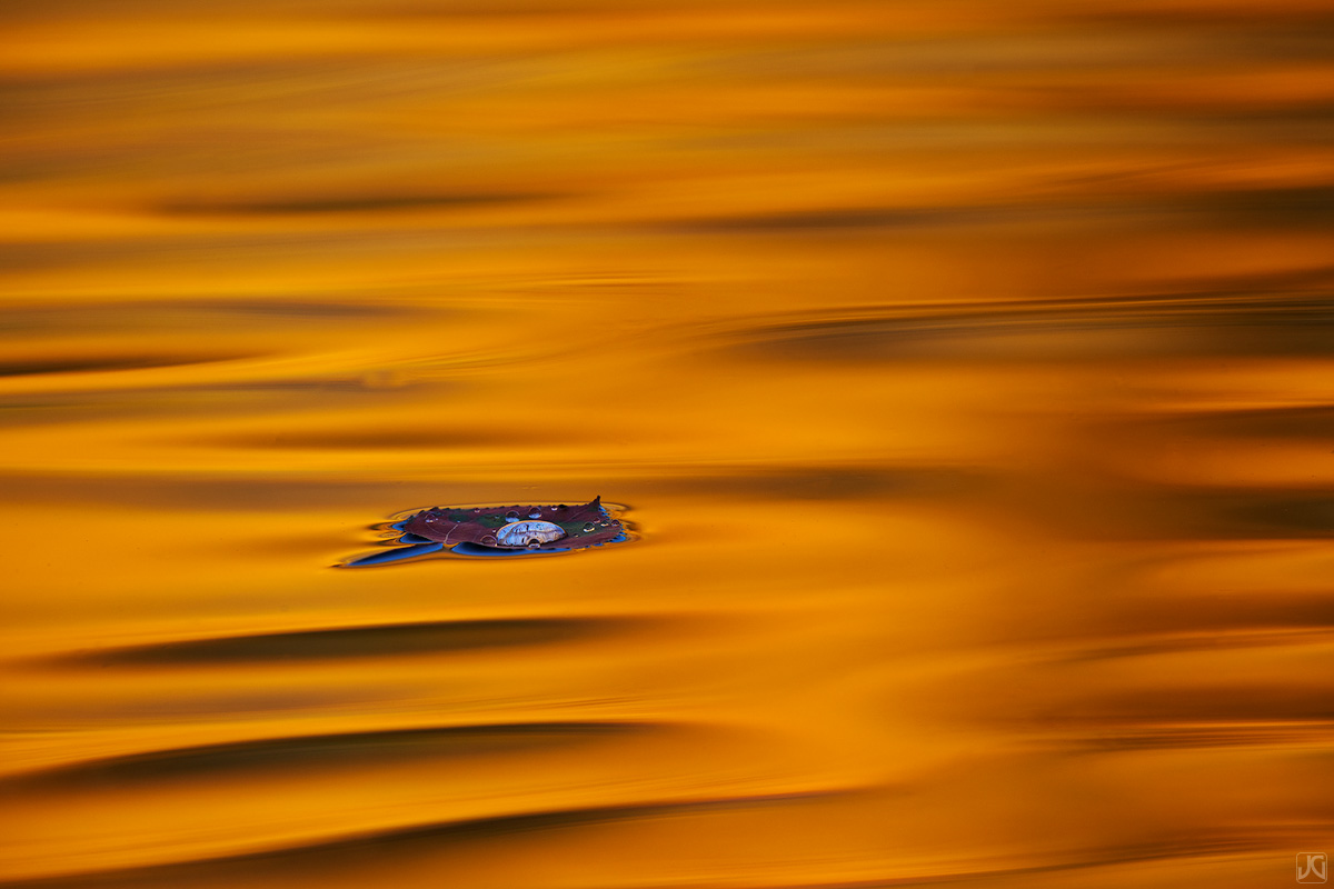 A sole aspen leaf floats amongst autumn reflections on the surface of a small pond.